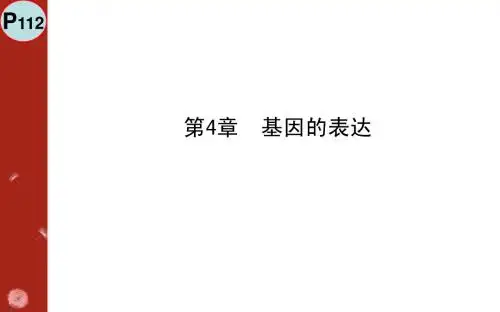 基因的表达
