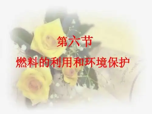 物理:10.6《燃料的利用和环境保护》课件1(北师大版九年级)