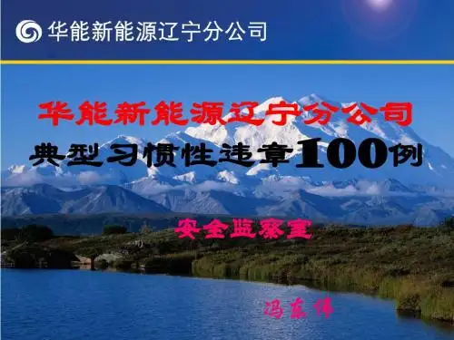 华能新能源辽宁分公司典型习惯性违章100例
