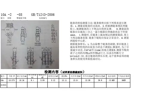 10A链条检测标准