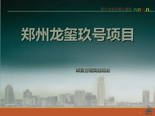 项目管理实施规划ppt课件