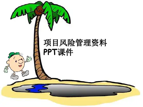 项目风险管理资料 PPT课件