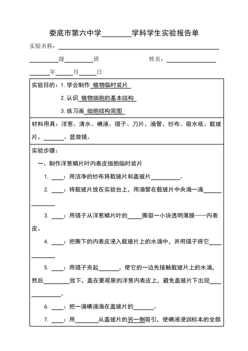 植物临时装片实验报告