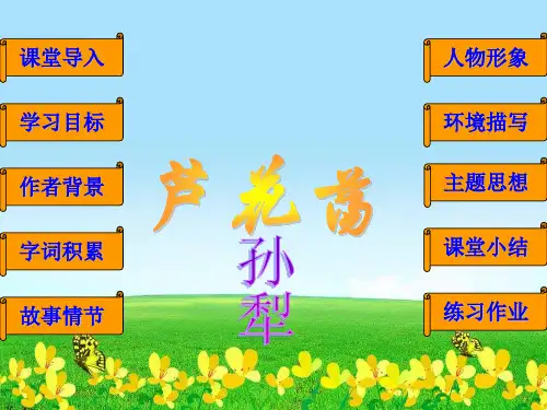 【初中语文】新人教版八年级语文上册2《芦花荡》ppt课件1