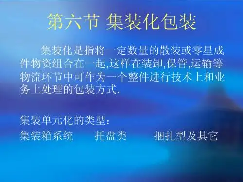 07 包装(集装箱化包装)