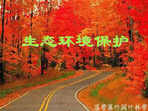 高中地理选修6《环境保护》第四章第一节《森林及其保护》