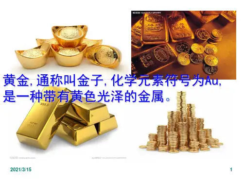 22《金子》教学课件