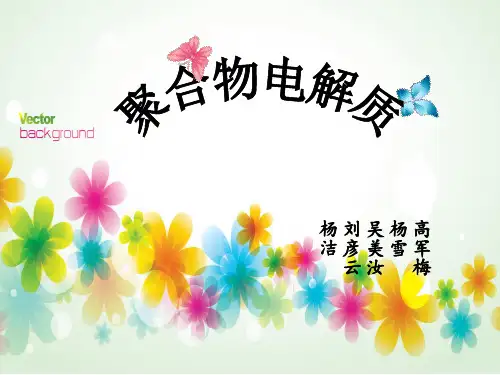 聚合物电解质