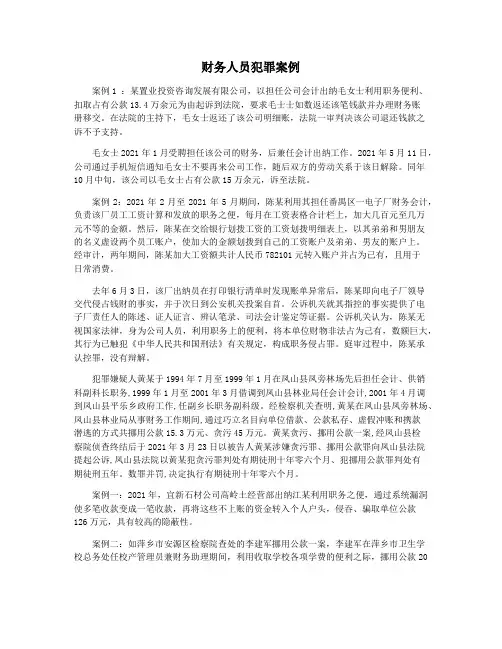 财务人员犯罪案例