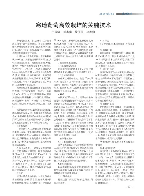 寒地葡萄高效栽培的关键技术