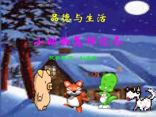 小动物怎样过冬课件