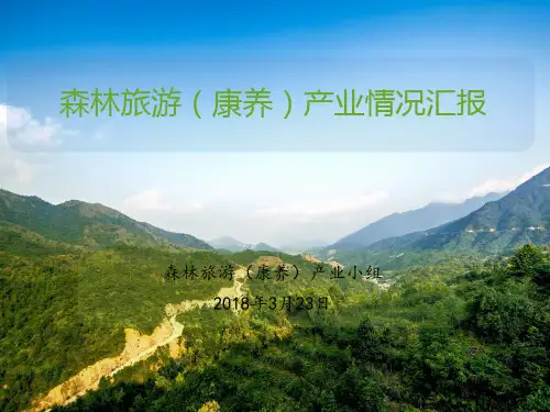森林旅游 康养 产业情况汇报