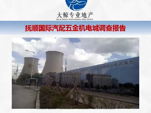 抚顺国际汽配城调研报告