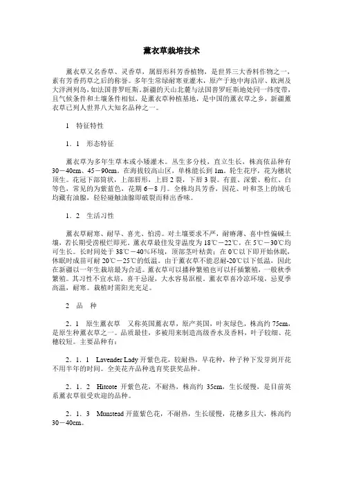 薰衣草栽培技术_0