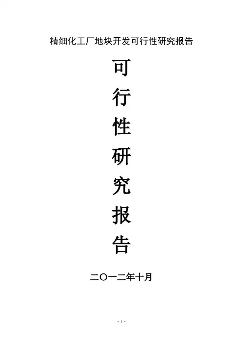 精细化工厂项目可行性研究报告 (NXPowerLite)