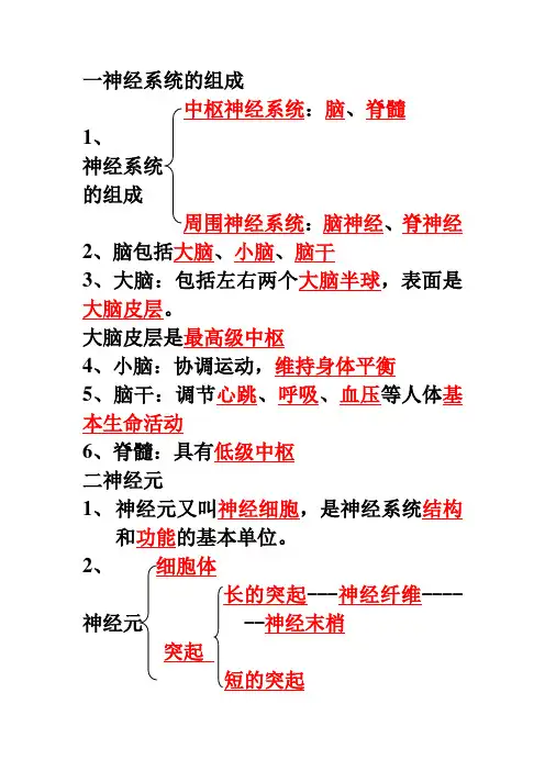 七年级生物下第六章第二节神经系统的组成知识点