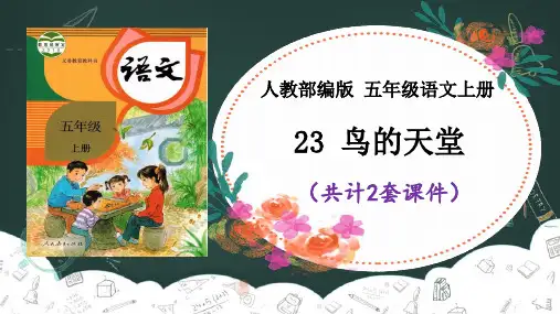 23 鸟的天堂 课件PPT(2套)【五上部编】