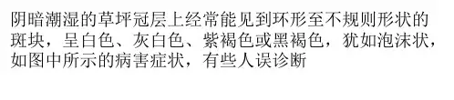 粘菌病害症状识别与防治