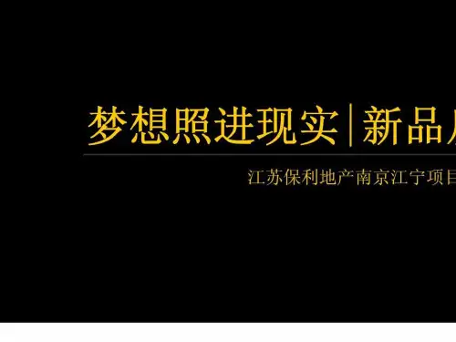2019年江苏保利地产南京江宁项目产品建议简报