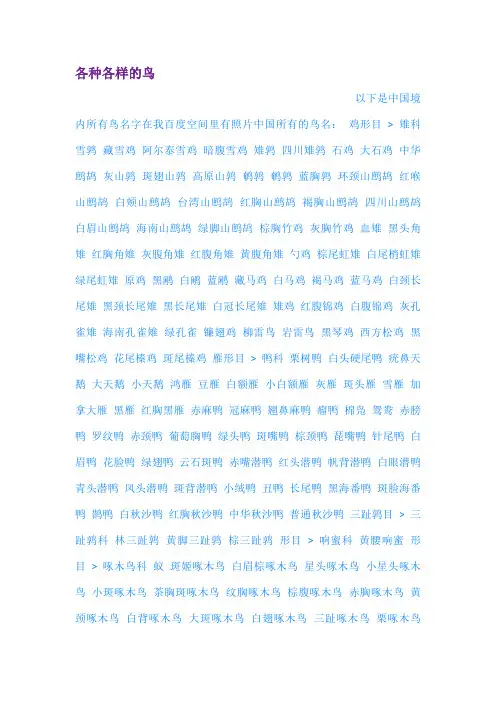 各种各样的鸟