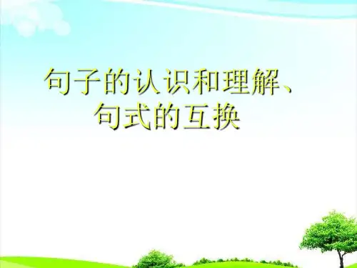 小升初语文句型转换专项复习