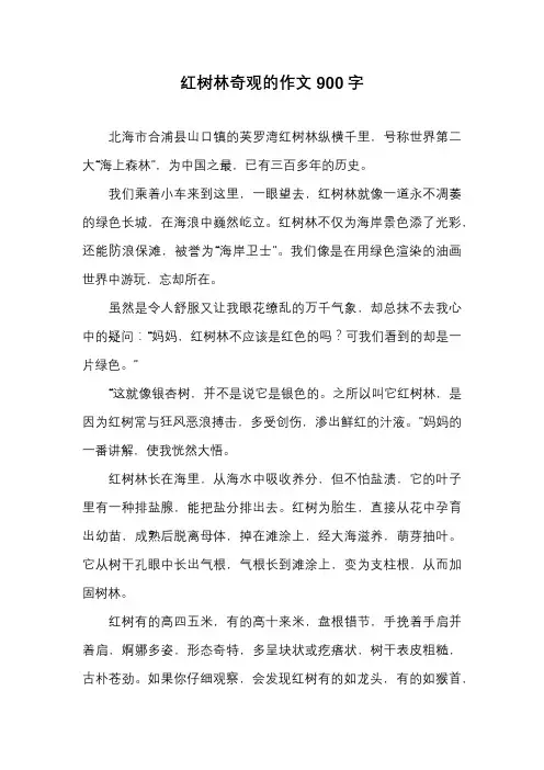 初中高中作文-红树林奇观的作文900字