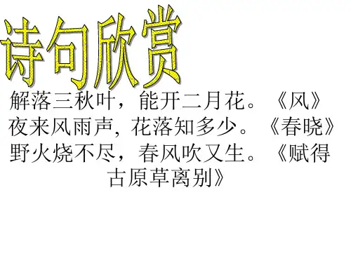 15画风课件