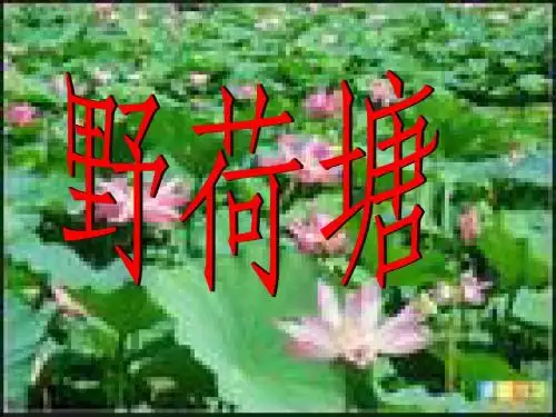 长春版四年级下册语文__野荷塘