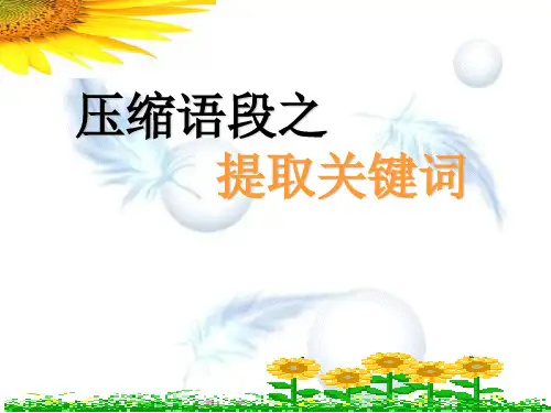 如何提取关键词