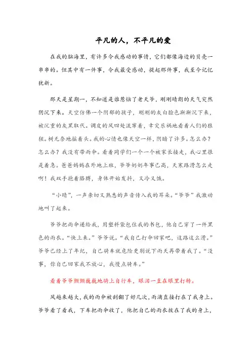 平凡的人,不平凡的爱 小学生征文