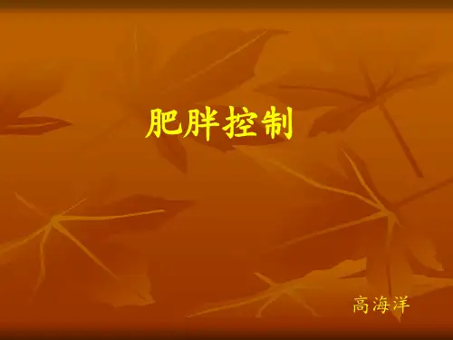 肥胖的控制PPT课件