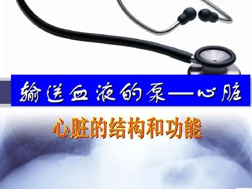 人教版七下第四章第三节输送血液的泵——心脏(共41张PPT)