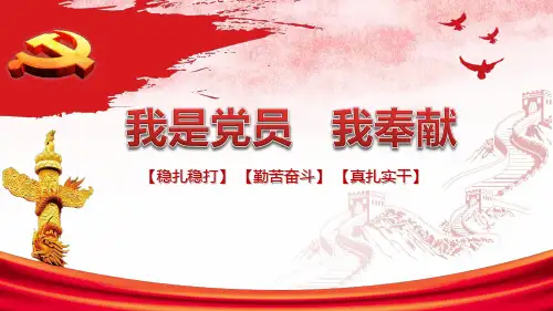 我是党员我奉献PPT模板