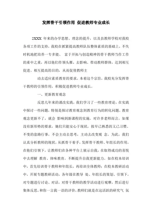 发挥骨干引领作用 促进教师专业成长