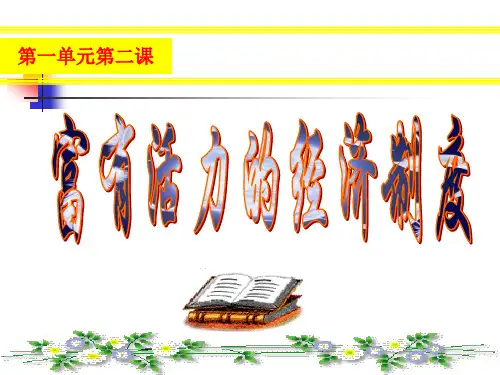 温州新星学校九年九班富有活力的经济制度