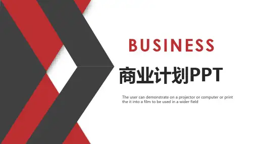 个人融资计划书PPT