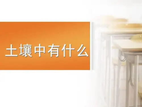 4.土壤中有什么