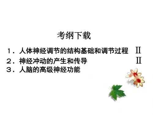 高三生物一轮复习：神经调节__兴奋的传导与传递
