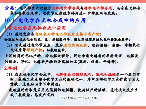 电化学反应过程