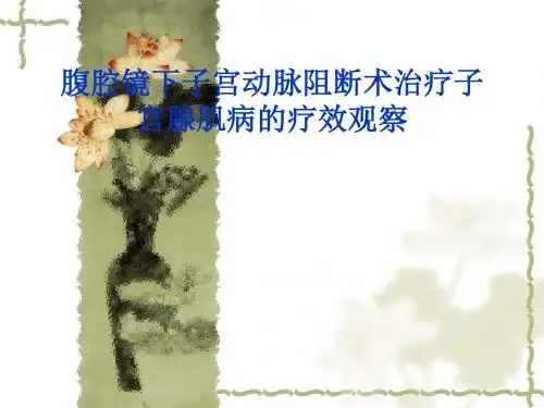 腹腔镜下子宫动脉阻断术治疗子宫腺肌病的临床研究