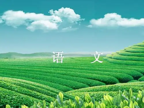 【浙江新中考】2014年中考语文总复习 第二篇 积累与运用 专题六 修辞 对联 仿写课件 新人教版