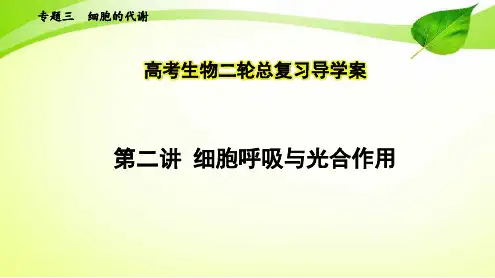 高考生物二轮总复习导学案：专题3 细胞的代谢 第2讲 细胞呼吸与光合作用