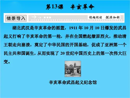 (人教新课标)必修1历史第13课《辛亥革命》课件