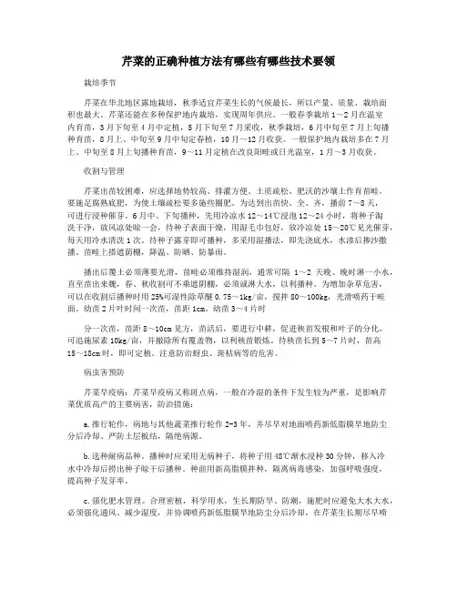 芹菜的正确种植方法有哪些有哪些技术要领