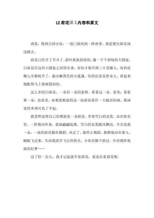 语文人教版三年级下册荷花课文内容和原文