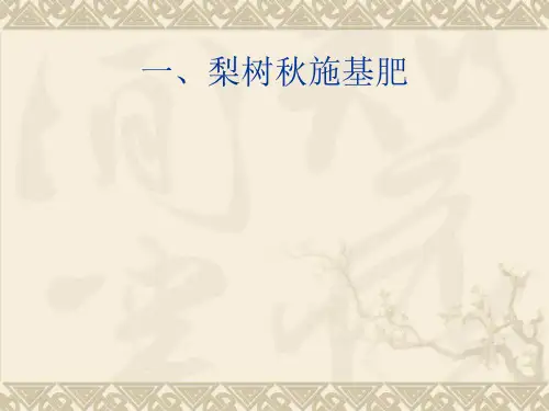 梨树施肥及病虫害防治