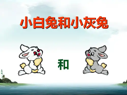 《小白兔和小灰兔》教材课件ppt