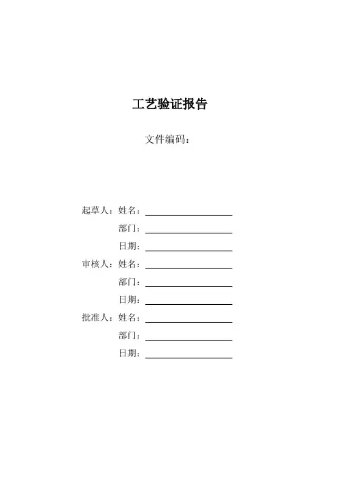 工艺验证报告模板