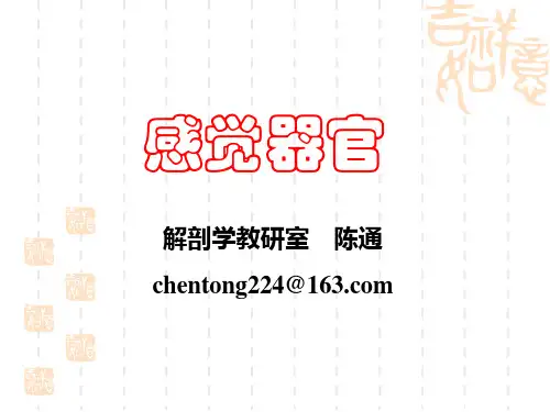 感觉器概述及视器和位听器(陈通2010-5)