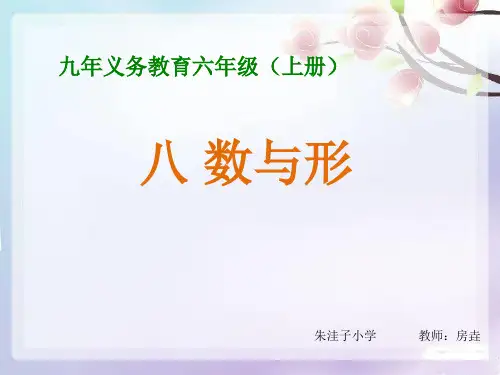 最新人教版六年级数学上册第八单元《数与形》公开课课件